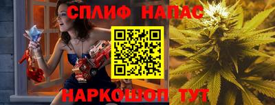 стафф Краснознаменск