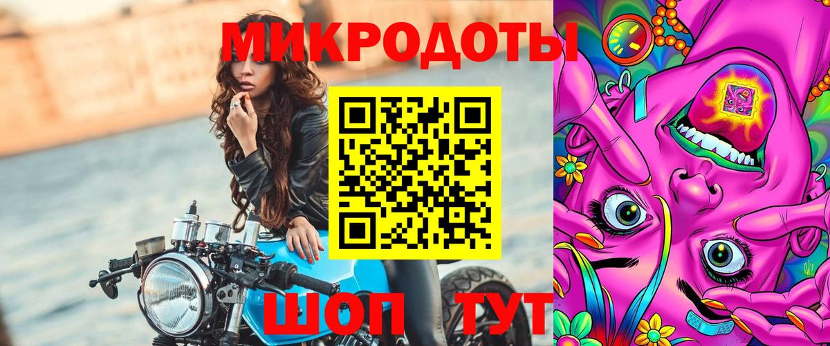 Псилоцибиновые грибы Psilocybe Железноводск